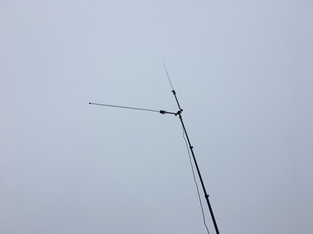 Der Buddipole als Veritkal mit einem Radial